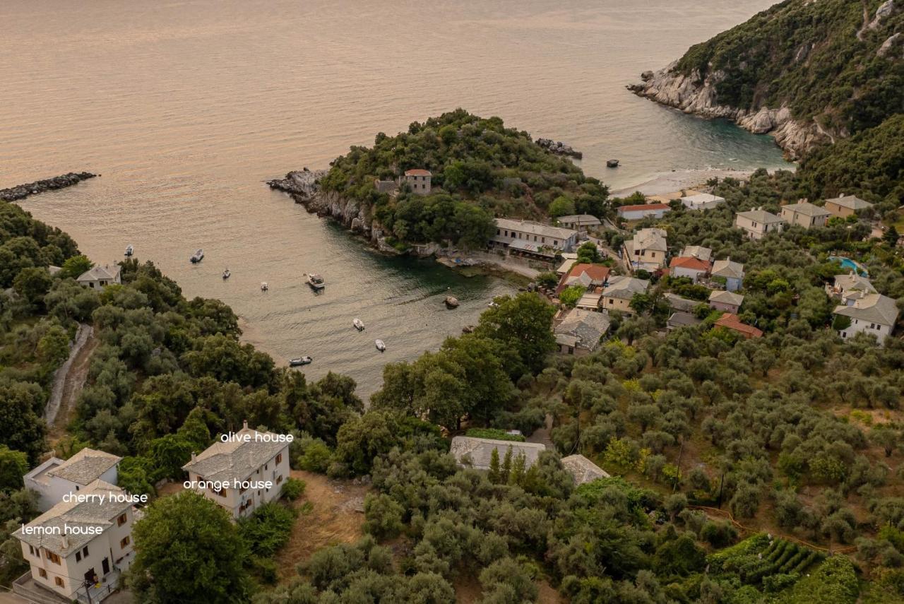 Olive House In Damouchari With A Sea View - Delicious Houses Екстериор снимка