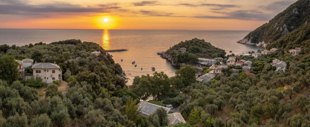 Olive House In Damouchari With A Sea View - Delicious Houses Екстериор снимка
